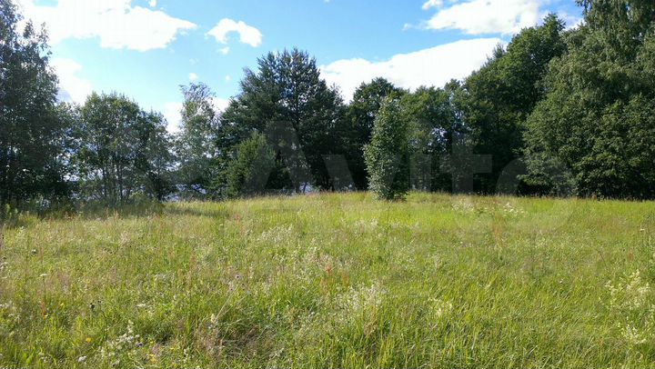 Участок 50 га (СНТ, ДНП)