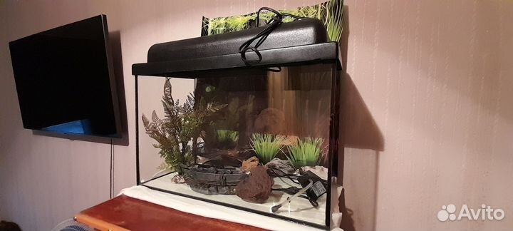 Аквариум