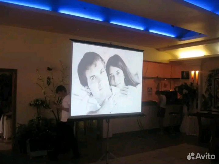 Аренда проектора. Экрана