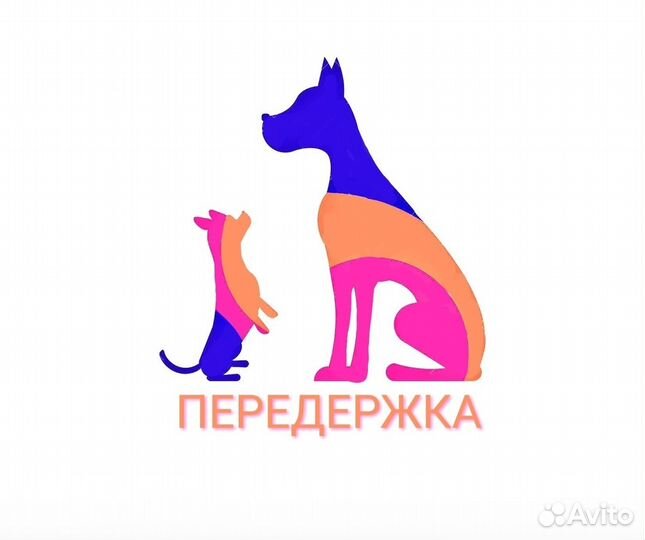 Передержка животных