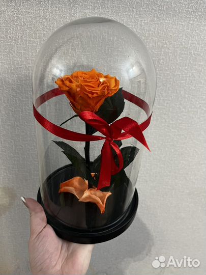 Роза в колбе