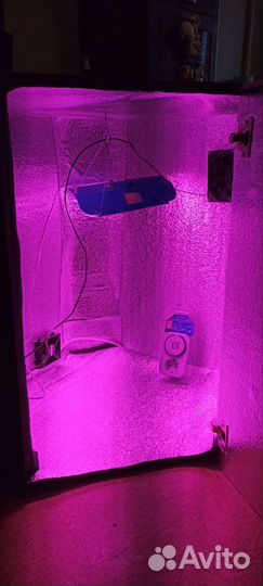 Готовый гроубокс