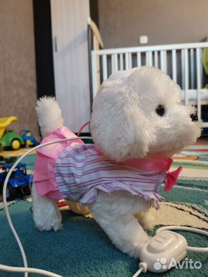 Собака на поводке интерактивная