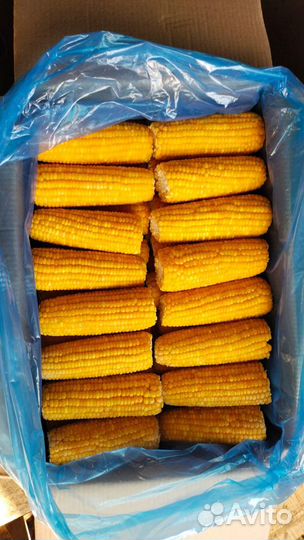 Кукуруза в початках замороженная