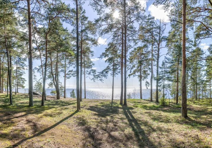 Участок 57 сот. (ИЖС)