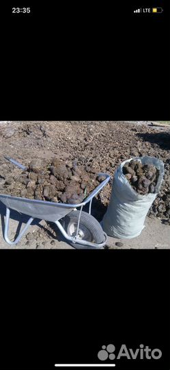 Конский навоз перегной