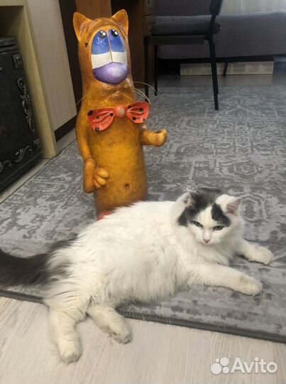 Копилка из папье-маше «Кот»