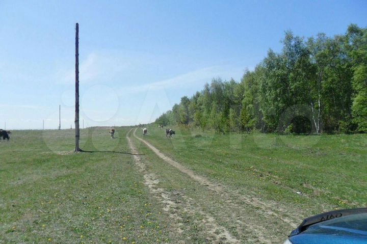 Участок 7 сот. (ИЖС)