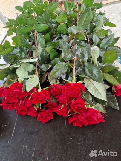 Цветы оптом розы