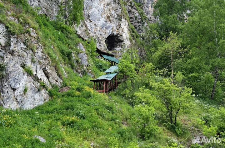 VIP-тур на Алтай 7 дней