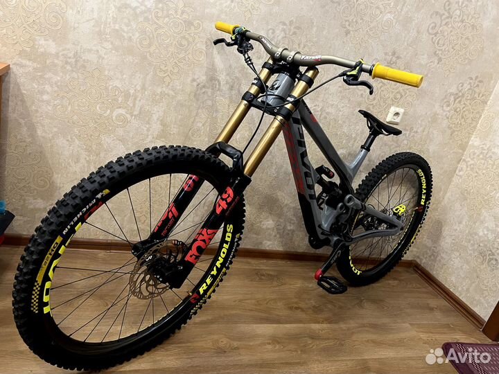 Pivot Phoenix 29 (2022)