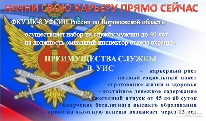 Младший инспектор отдела охраны