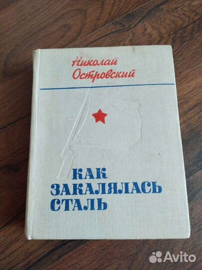 Как закалялась сталь 1975 год.Детектив и Политика