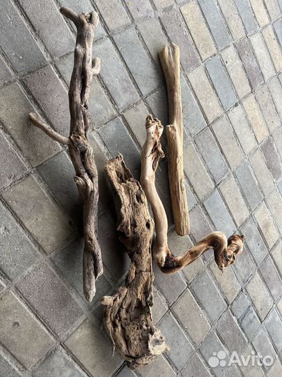 Коряги для аквариума