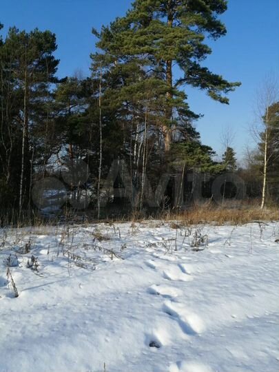 Участок 4,7 га (ИЖС)