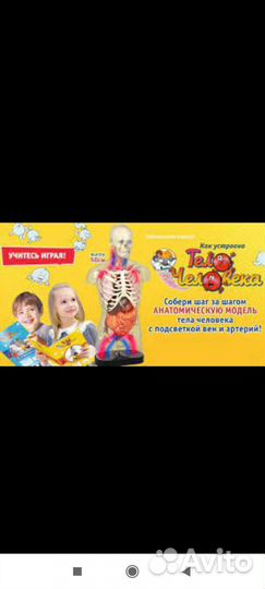 Журналы Как устроено тело человека все выпуски