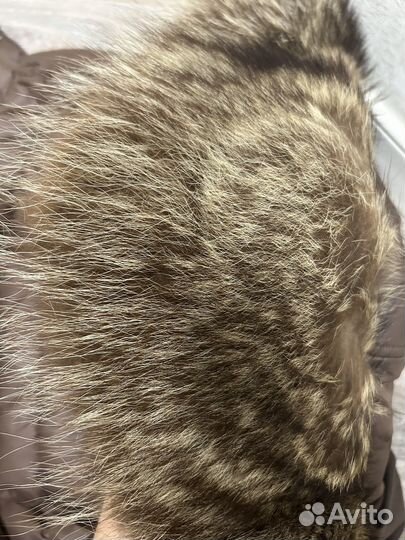 Воротник из енота