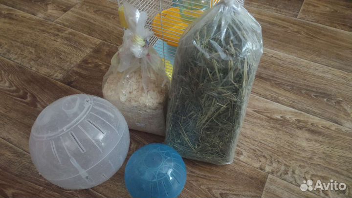 Клетка для грызунов, переноска, два шара