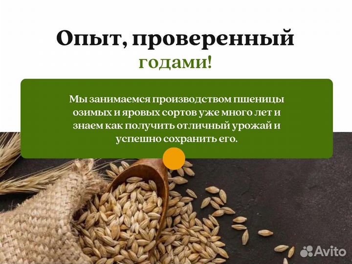 Горох шлифованный (кг)