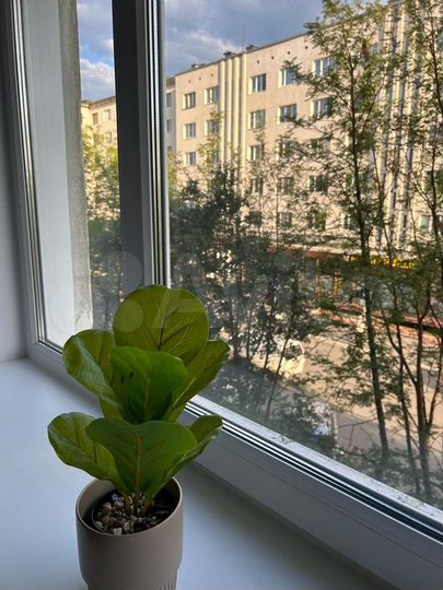 1-к. квартира, 35 м², 3/5 эт.