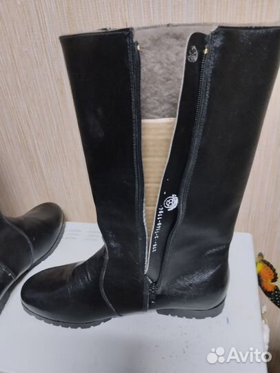 Сапоги женские