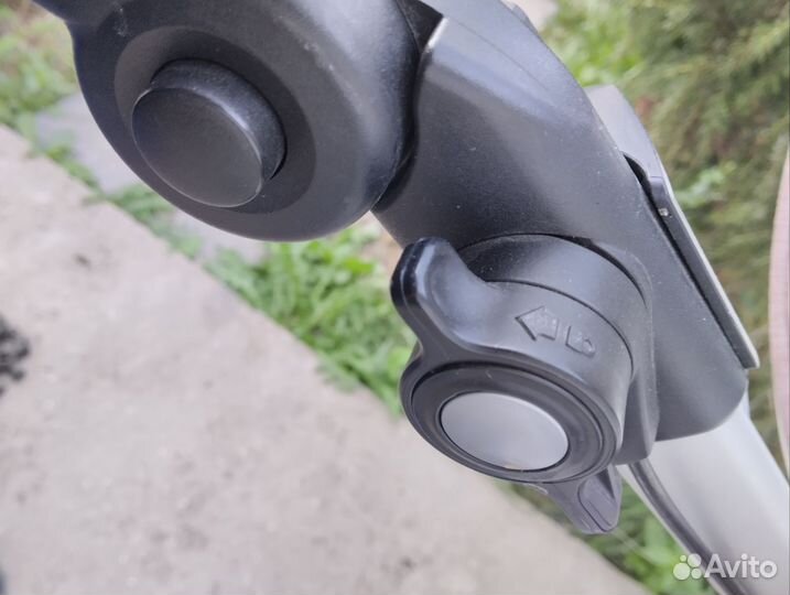 Коляска teutonia be you 2 в 1