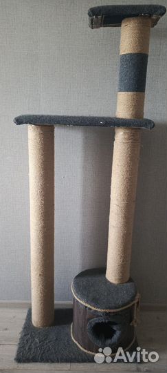 Когтеточка