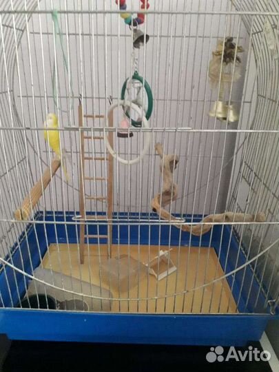 Клетка для попугаев