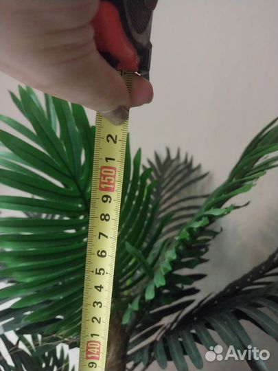 Искусственная пальма бу