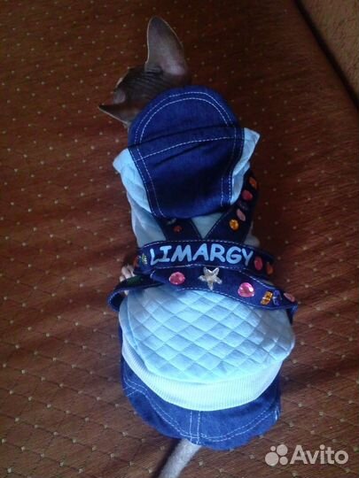 Новый Комбинезон доя собаки или кошки