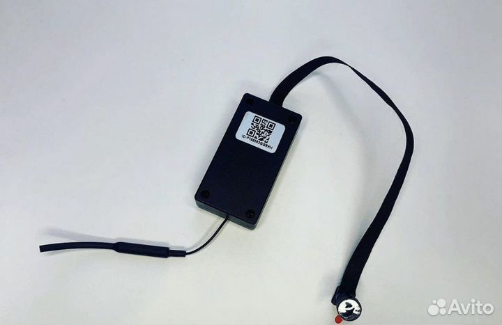 Аренда микрокамеры для экзамена