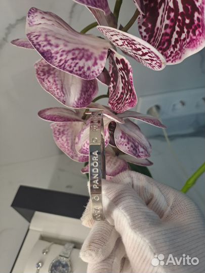 Женский подарочный набор Pandora