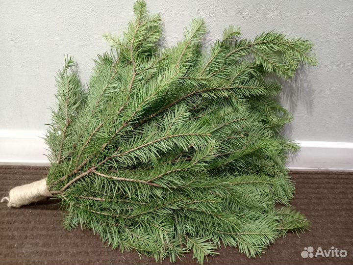 Веник для бани, веник пихтовый, веники