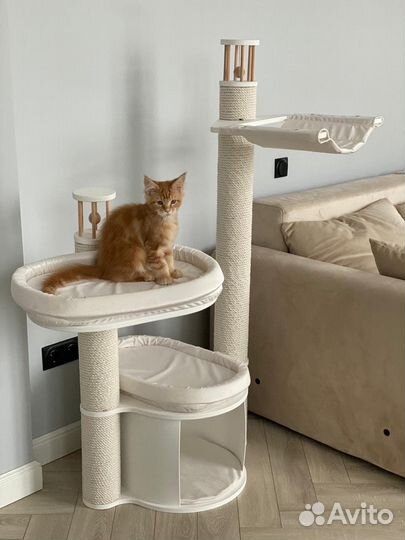 Когтеточка дом для кошек.Игровой комплекс