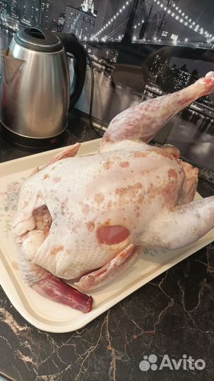 Мясо домашней индюшки