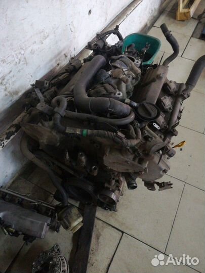 Vq25dd Ниссан цефиро pa33