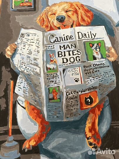 Картины по номерам раскрашенная