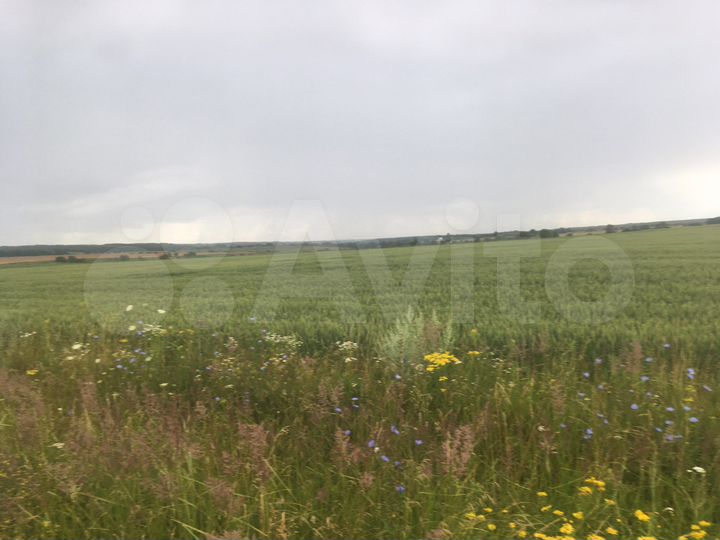 Участок 8,03 га (СНТ, ДНП)