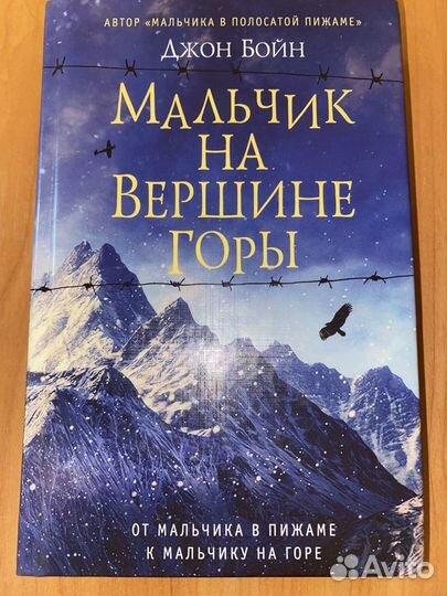 Джон Бойн Мальчик на вершине горы