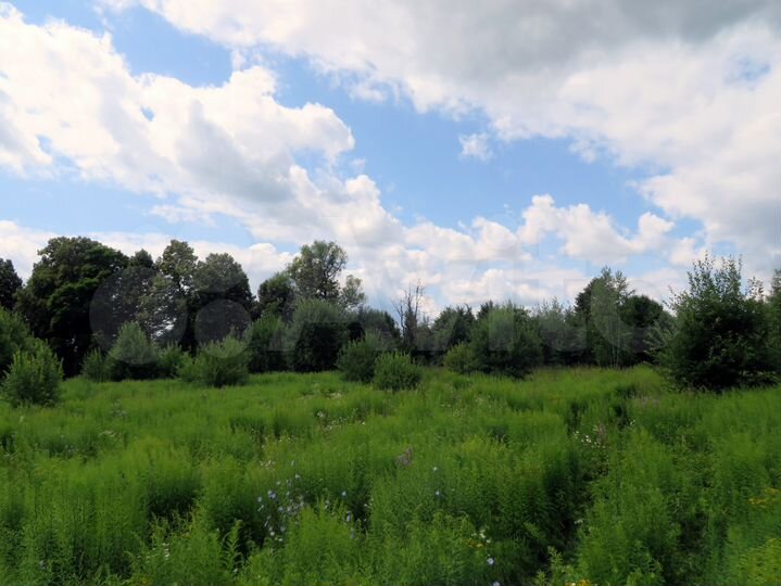 Участок 11 сот. (ИЖС)