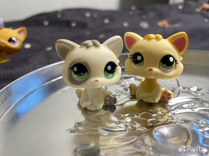 Littlest Pet Shop lps лпс