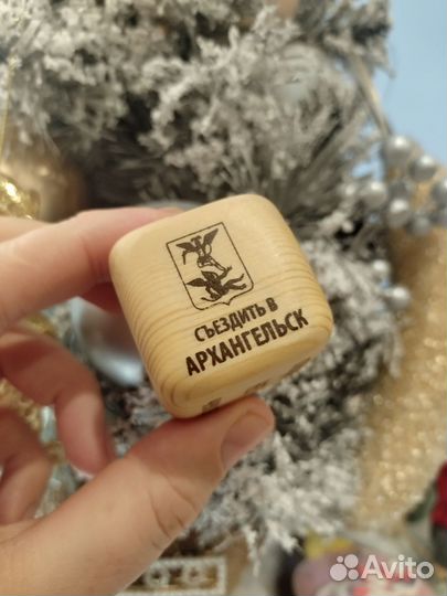 Обзорная экскурсия по центру Архангельск