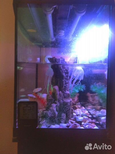 Аквариум 125л