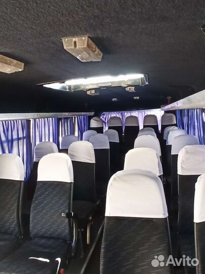 Пассажирские перевозки автобус 26мест