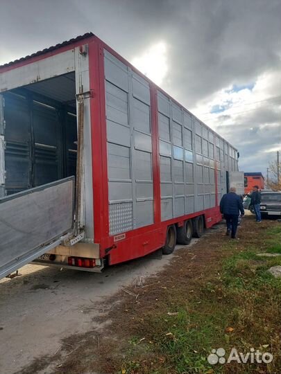 Полуприцеп изотермический WIELTON 972200, 2003