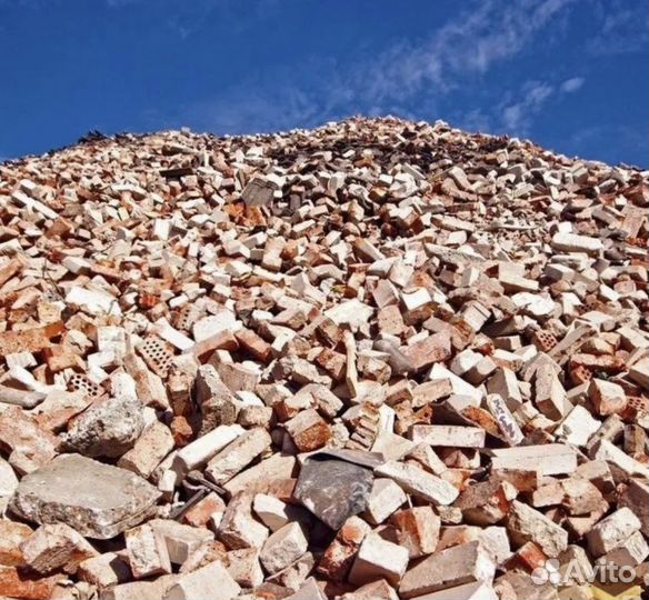 Приму бой в Красном Селе без оплаты