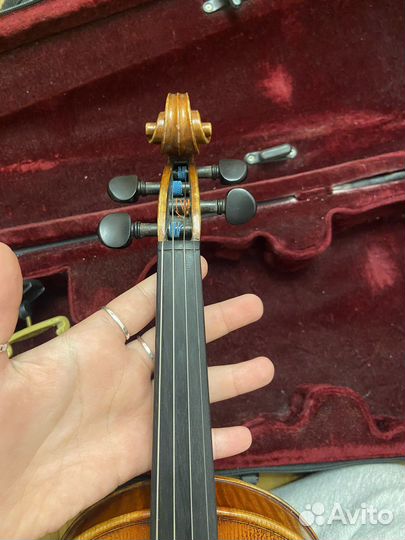 Скрипка 3 4 горонок
