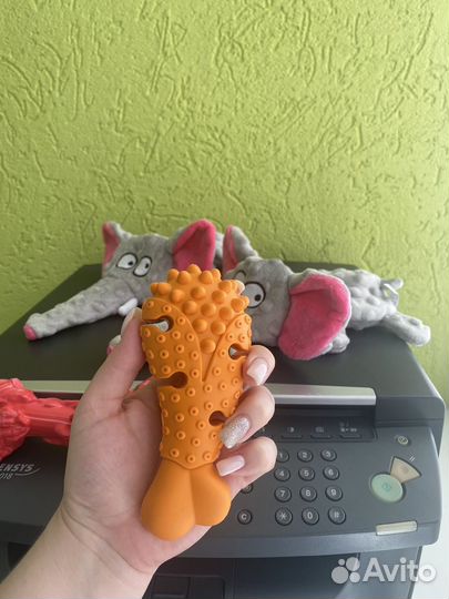 Игрушки для собак