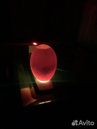 Инкубационное яйцо гусей