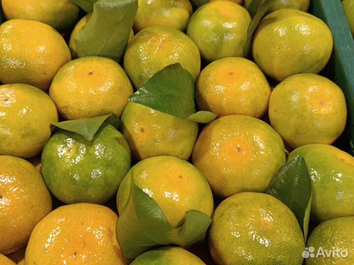 Мандарины из Абхазии